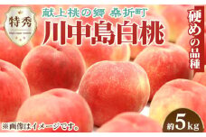 No.100 もも（川中島白桃）特秀　約5kg ／ 桃 モモ 果物 福島県 特産品