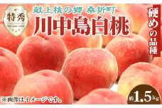 No.138 川中島白桃　特秀1.5kg　桑折町産　JAふくしま未来　もも ／ モモ 果物 フルーツ 福島県 特産品