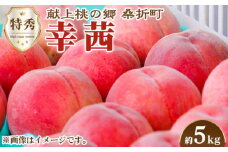 No.142 もも（幸茜）　特秀5kg　桑折町産　JAふくしま未来　桃 ／ モモ 果物 フルーツ 福島県 特産品