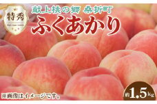 No.166 もも（ふくあかり）特秀　1.5kg　桑折町産　JAふくしま未来　桃 ／ 果物 フルーツ モモ 福島県 特産品