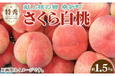 No.168 もも（さくら白桃）特秀　1.5kg　桑折町産　JAふくしま未来　桃 ／ 果物 フルーツ モモ 福島県 特産品