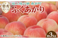 No.169 もも（ふくあかり）特秀　3kg　桑折町産　JAふくしま未来　桃 ／ 果物 フルーツ モモ 福島県 特産品