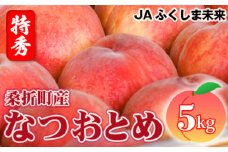 No.174 もも（なつおとめ）特秀　5kg　桑折町産　JAふくしま未来　桃 ／ 果物 フルーツ モモ 福島県 特産品