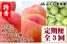No.176 【令和7年7月～9月頃発送】桑折町もも2品種・シャインマスカット定期便 ／ 果物 フルーツ モモ ブドウ 福島県 特産品