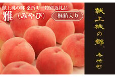 No.177 献上桃の郷桑折町 特別返礼品「雅」 糖度13.5度以上【数量限定】2kg（5～6玉）桑折町産　先行受付 ／ もも モモ 果物 フルーツ 福島県 特産品