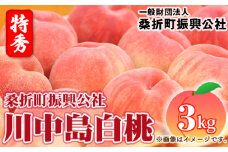 No.184 もも（川中島白桃）特秀3kg（8玉～11玉）桑折町振興公社 ／ 桃 モモ 果物 福島県 特産品