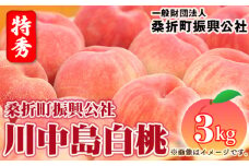 No.184 もも【川中島白桃・2026年産先行受付】特秀3kg（9～11玉）桑折町振興公社 ／ 桃 モモ 果物 福島県 特産品