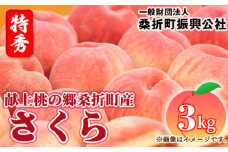 No.187 もも（さくら）特秀3kg（8玉～11玉）献上桃の郷桑折町産 ／ 桃 モモ 果物 福島県 特産品