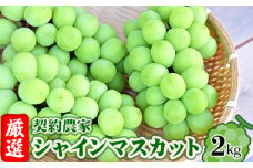 No.204 【令和7年9月頃発送】厳選　契約農家　シャインマスカット　約2kg ／ 葡萄 ブドウ 果物 フルーツ 福島県 特産品