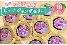 No.218 ピーチジャンボゼリー 450g×10個 ／ 福島県産もも 桃 モモ フルーツ デザート スイーツ たっぷり 福島県 特産品