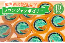 No.219 メロンジャンボゼリー 450g×10個 ／ 国産メロン めろん フルーツ デザート スイーツ たっぷり 福島県 特産品 福島県 特産品