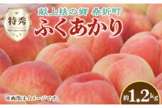 No.223 もも（ふくあかり）特秀　1.2kg　桑折町産　JAふくしま未来　桃 ／ モモ 果物 フルーツ 福島県 特産品