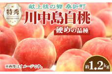 No.227 もも【川中島白桃・2026年産先行受付】特秀1.2kg　桑折町産　JAふくしま未来　桃 ／ モモ 果物 フルーツ 福島県 特産品