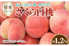 No.229 もも（さくら白桃）特秀　1.2kg　桑折町産　JAふくしま未来　桃 ／ モモ 果物 フルーツ 福島県 特産品