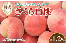No.229 もも（さくら白桃）特秀　1.2kg　桑折町産　JAふくしま未来　桃 ／ モモ 果物 フルーツ 福島県 特産品