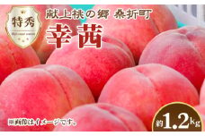 No.228 もも（幸茜）特秀　1.2kg　桑折町産　JAふくしま未来　桃 ／ モモ 果物 フルーツ 福島県 特産品