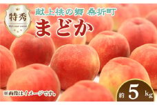 No.235 もも（まどか）特秀　5kg　桑折町産　JAふくしま未来　桃 ／ モモ 果物 フルーツ 福島県 特産品