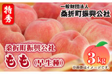 No.231 もも（早生種）特秀品3kg（10～12玉）桑折町振興公社 ／ 桃 モモ 果物 フルーツ 福島県 特産品