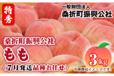 No.232 もも（7月発送品種お任せ）特秀品3kg（8～11玉）桑折町振興公社 ／ 桃 モモ 果物 フルーツ 福島県 特産品