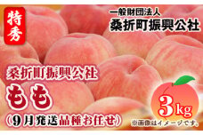 No.234 もも（9月発送品種お任せ）特秀品3kg（8～11玉）桑折町振興公社 ／ 桃 モモ 果物 フルーツ 福島県 特産品