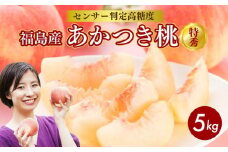 透過式光センサーあかつき桃 特秀5kg相当 15玉～18玉＜ ふくしま未来農業協同組合 ＞ | ふくしま 桃 福島 もも 国見 モモ ※2025年7月中旬～8月上旬頃に順次発送予定 ※沖縄・離島への配送不可