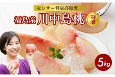 透過式光センサー川中島白桃 特秀5kg相当 15玉～18玉＜ ふくしま未来農業協同組合 ＞ | ふくしま 桃 福島 もも 国見 モモ ※2026年8月中旬頃より順次発送予定 ※沖縄・離島への配送不可