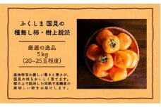 ◆2025年秋発送◆＜ 種無し柿（樹上脱渋）・約5kg ＞ ※2025年10月下旬～11月下旬頃に順次発送予定