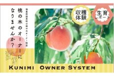 【限定】桃の木オーナー制度2023「伊達白桃」3kg×3箱 計9kg(1箱/約10個) ※着日指定不可 ※沖縄・離島への配送不可 ※2023年8月中旬～9月上旬頃に順次発送予定