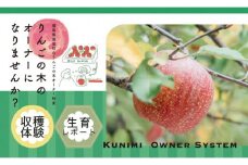 【限定】りんごの木オーナー制度2023「サンふじ」5kg×2箱 計10kg(1箱/約15個) ※着日指定不可 ※沖縄・離島への配送不可 ※2023年11月上旬～2024年1月上旬頃に順次発送予定