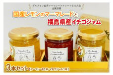 【ダルメイン世界マーマレードアワード日本大会金賞受賞！】国産レモンのマーマレードと福島県産イチゴジャム　3本セット　20個限定！ ※離島への配送不可 ※着日指定不可