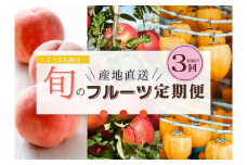 【限定】【定期便3回】1～2人向け／旬のフルーツ定期便★個数限定★ ※沖縄・離島への配送不可 ※2025年7月下旬～2026年1月下旬頃に順次発送予定
