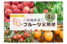 【限定】【定期便4回】1～2人向け／旬のフルーツ定期便★個数限定★ ※沖縄・離島への配送不可 ※2025年7月下旬～2026年1月下旬頃に順次発送予定
