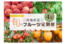 【限定】【定期便4回】1～2人向け／旬のフルーツ定期便★個数限定★ ※沖縄・離島への配送不可 ※2025年7月下旬～2026年1月下旬頃に順次発送予定