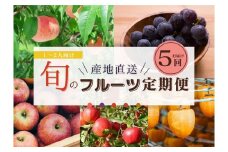 【限定】【定期便5回】1～2人向け／旬のフルーツ定期便★個数限定★ ※沖縄・離島への配送不可 ※2025年7月下旬～2026年1月下旬頃に順次発送予定