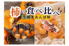 【2回定期便】【季節限定】柿の食べ比べ 生柿 りんご あんぽ柿セット ※沖縄・離島への配送不可 ※2025年12月上旬～2026年2月下旬頃に順次発送予定
