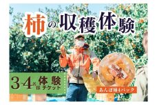 【定期便】【季節限定】3～4人用／柿の収穫体験 チケット あんぽ柿（4トレー）
※着日指定不可
※沖縄・離島への配送不可
※2023年10月上旬～2024年2月下旬頃に順次発送予定