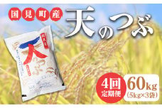 【全4回定期便】【令和6年産】米　国見町産　天のつぶ 60kg　5kg×3袋　4回定期便 ※九州・沖縄県・離島への配送不可 ※2024年10月中旬～2025年4月頃に順次発送予定