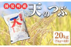 【令和6年産】米　国見町産　天のつぶ 20kg　5kg×4袋 ※九州・沖縄県・離島への配送不可 ※2024年10月中旬～2025年2月頃に順次発送予定