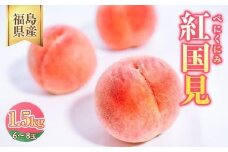 ◆2026年夏発送◆ 紅国見 ～産直・桃・約1.5kg～ ※離島への配送不可 ※2026年7月上旬～7月下旬頃に順次発送予定｜桃 もも モモ フルーツ 果物 ふくしま 福島 国見町 詰め合わせ