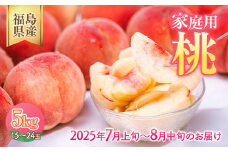 ＼レビュー投稿でお米プレゼント／◆2025年夏発送◆《産直・家庭用桃・約5kg》　※北海道・沖縄・離島への配送不可　※2025年7月上旬頃～8月中旬頃に順次発送予定｜先行予約 予約 桃 もも モモ 果物 くだもの フルーツ 訳あり 家庭用 詰め合わせ 福島 ふくしま