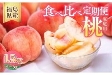 ◆2026年夏発送◆＜家庭用 食べ比べ定期便 約1.5kg×2回＞ ※離島への配送不可 ※2026年7月上旬～8月下旬頃に順次発送予定 ｜ 先行予約 予約 数量限定 桃 もも モモ 果物 くだもの フルーツ 詰め合わせ 福島 ふくしま