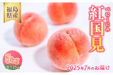 ＼レビュー投稿でお米プレゼント／◆2025年夏発送◆紅国見～産直・桃・約5kg～ ｜ 先行予約 予約 数量限定 桃 もも モモ 果物 くだもの フルーツ 詰め合わせ 福島 ふくしま　※離島への配送不可　※2025年7月上旬～7月下旬頃に順次発送予定