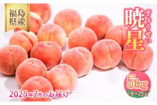 ＼レビュー投稿でお米プレゼント／◆2025年夏発送◆暁星～産直・桃・約5kg～ ｜ 先行予約 予約 数量限定 桃 もも モモ 果物 くだもの フルーツ 詰め合わせ 福島 ふくしま　※離島への配送不可　※2025年7月上旬～7月下旬頃に順次発送予定
