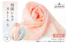 川俣シルクストール(大)花見山【1099862】