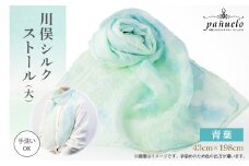川俣シルクストール(大)青葉【1099864】