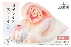 川俣シルクストール(小)花見山【1099868】