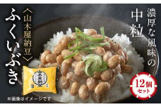 山乃屋の山木屋納豆ふくいぶき12個セット【1430868】