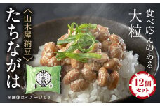山乃屋の山木屋納豆たちながは12個セット【1430870】