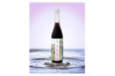 美葡萄 山ぶどうジュース 500ml×2本【1590326】