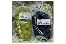 福島県川俣町産　根圏制御栽培のぶどう　シャインマスカット&BKシードレス　詰め合わせ1kg以上【1590862】